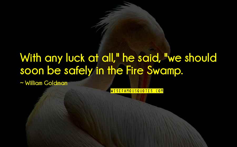Stormily Synonym Quotes By William Goldman: With any luck at all," he said, "we