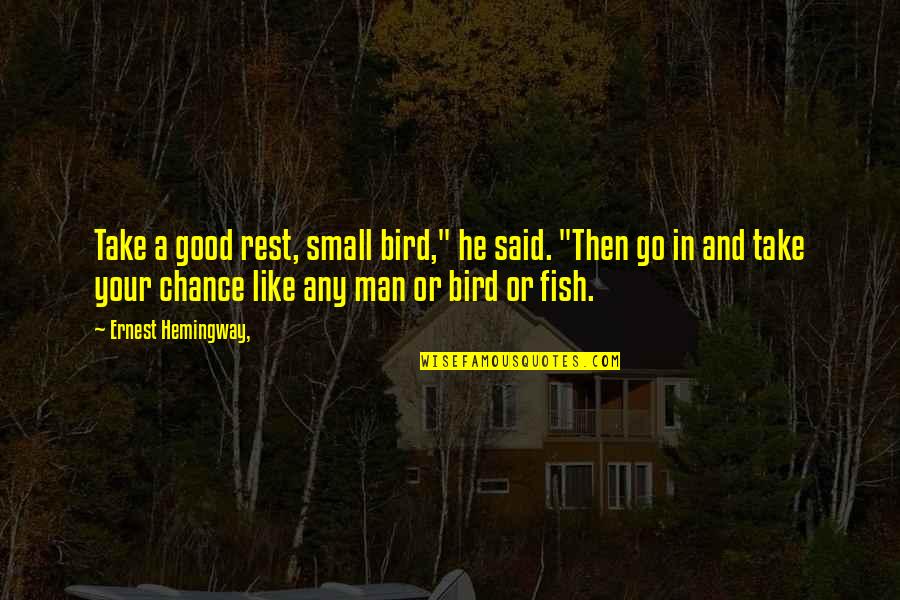 Storstad Shipwreck Quotes By Ernest Hemingway,: Take a good rest, small bird," he said. Storstad Shipwreck Quotes By Ernest Hemingway,: Take a good rest, small bird," he said.