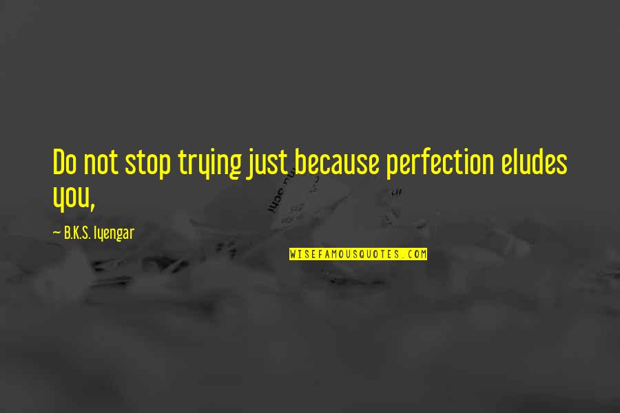 Story Continues Quotes By B.K.S. Iyengar: Do not stop trying just because perfection eludes