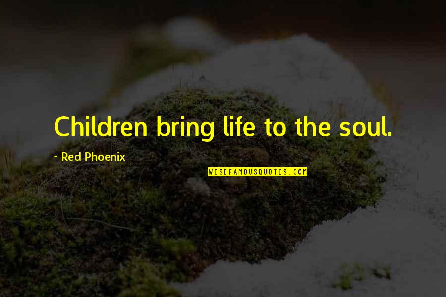 Story Of A Soul Quotes By Red Phoenix: Children bring life to the soul.
