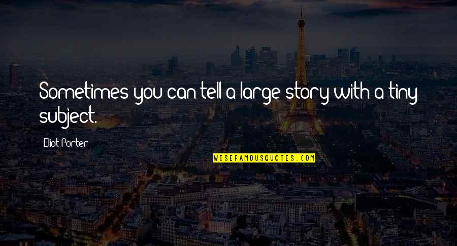 Story Tell Quotes By Eliot Porter: Sometimes you can tell a large story with