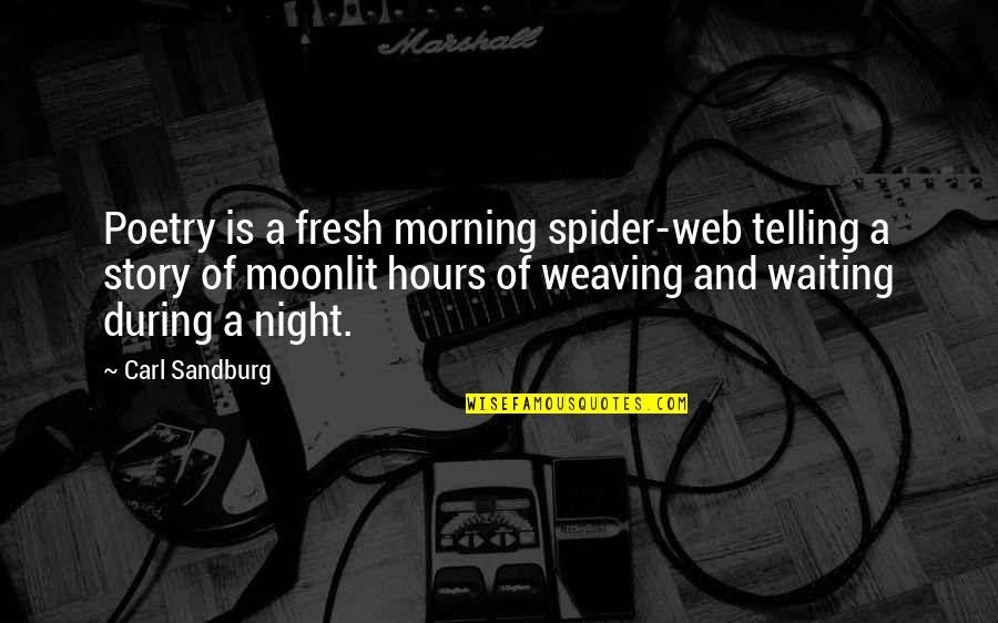 Story Web Quotes By Carl Sandburg: Poetry is a fresh morning spider-web telling a
