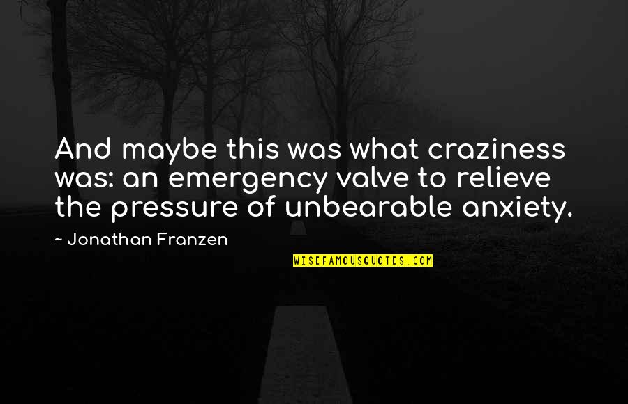Storystory Quotes By Jonathan Franzen: And maybe this was what craziness was: an