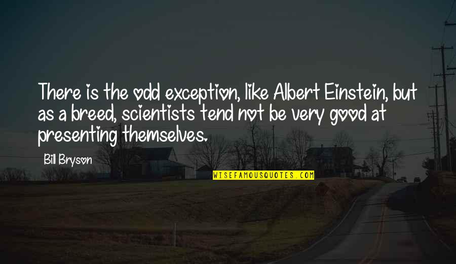 Stovky Cz Quotes By Bill Bryson: There is the odd exception, like Albert Einstein,