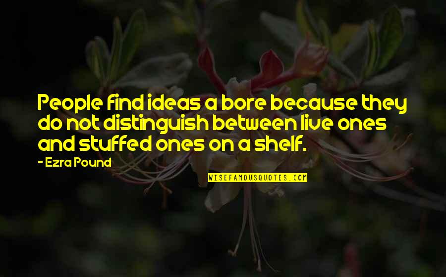 Stoyan Quotes By Ezra Pound: People find ideas a bore because they do