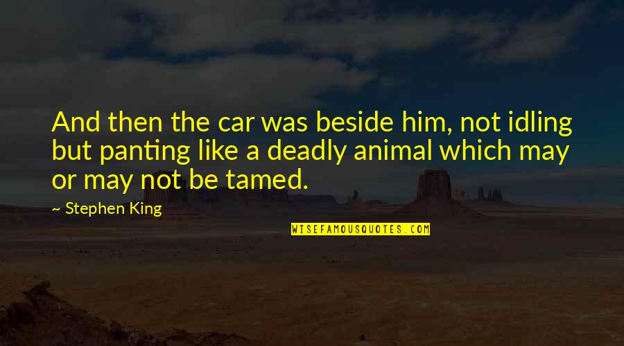 Straccio Per Pavimenti Quotes By Stephen King: And then the car was beside him, not