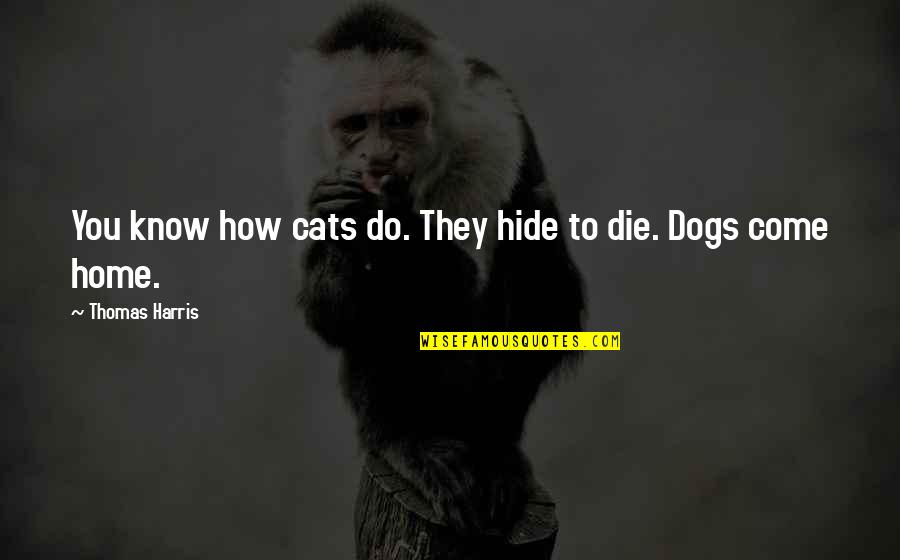 Strachota Ins Quotes By Thomas Harris: You know how cats do. They hide to