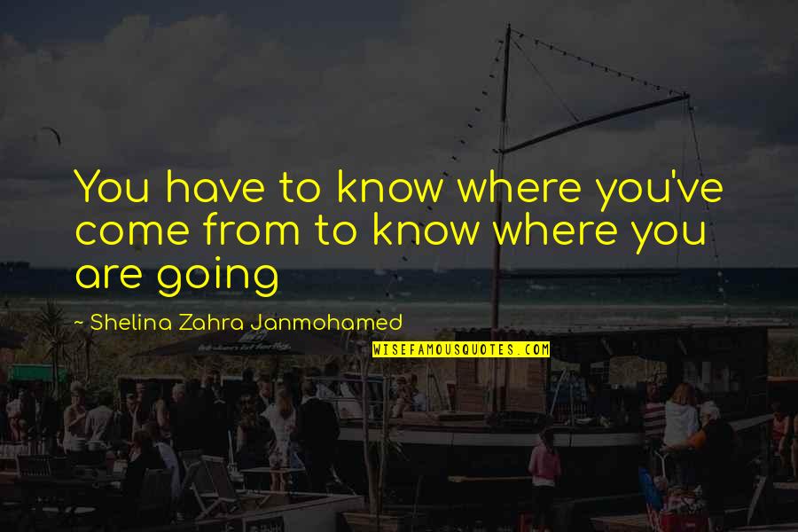 Stracht Quotes By Shelina Zahra Janmohamed: You have to know where you've come from
