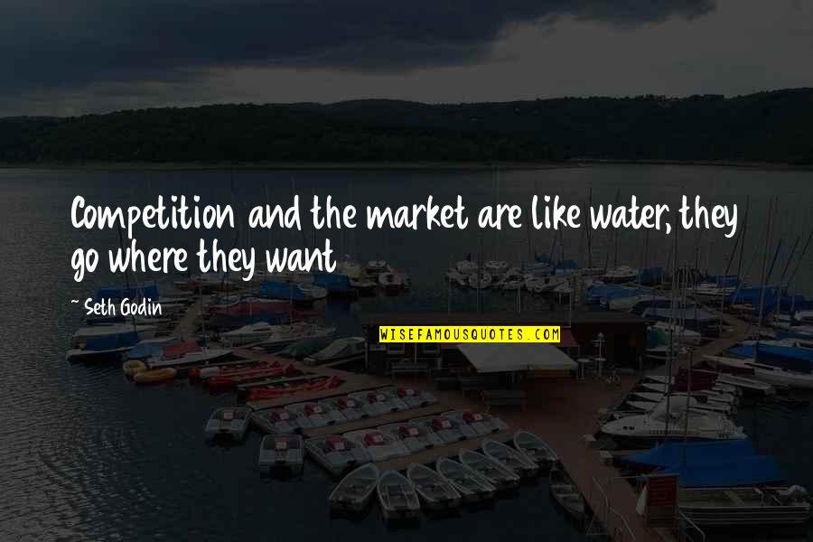 Stracker Can I Load Quotes By Seth Godin: Competition and the market are like water, they