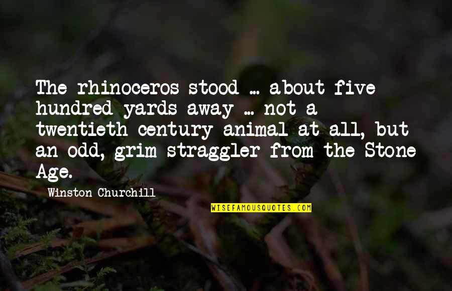 Straggler Quotes By Winston Churchill: The rhinoceros stood ... about five hundred yards