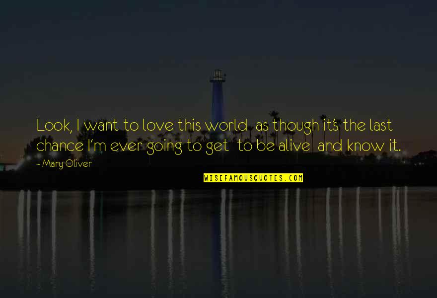 Straight Forward Quotes By Mary Oliver: Look, I want to love this world as Straight Forward Quotes By Mary Oliver: Look, I want to love this world as