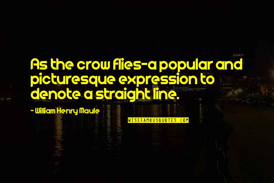 Straight Line Quotes By William Henry Maule: As the crow flies-a popular and picturesque expression