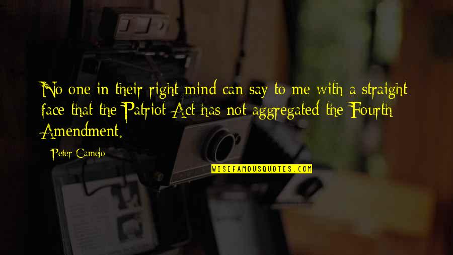 Straight Mind Quotes By Peter Camejo: No one in their right mind can say