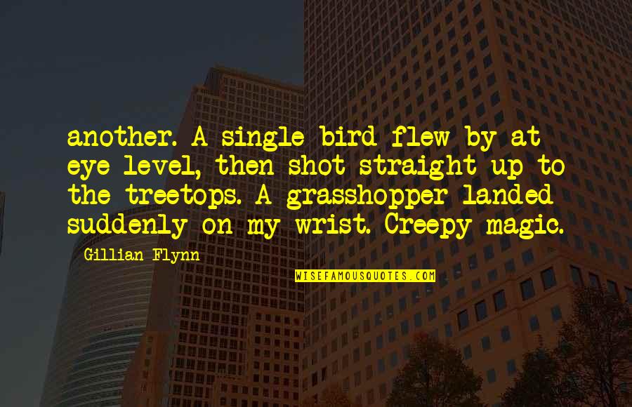 Straight Up Quotes By Gillian Flynn: another. A single bird flew by at eye