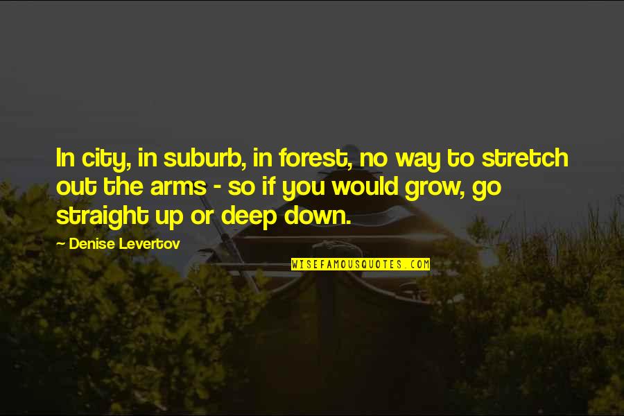 Straight Way Quotes By Denise Levertov: In city, in suburb, in forest, no way