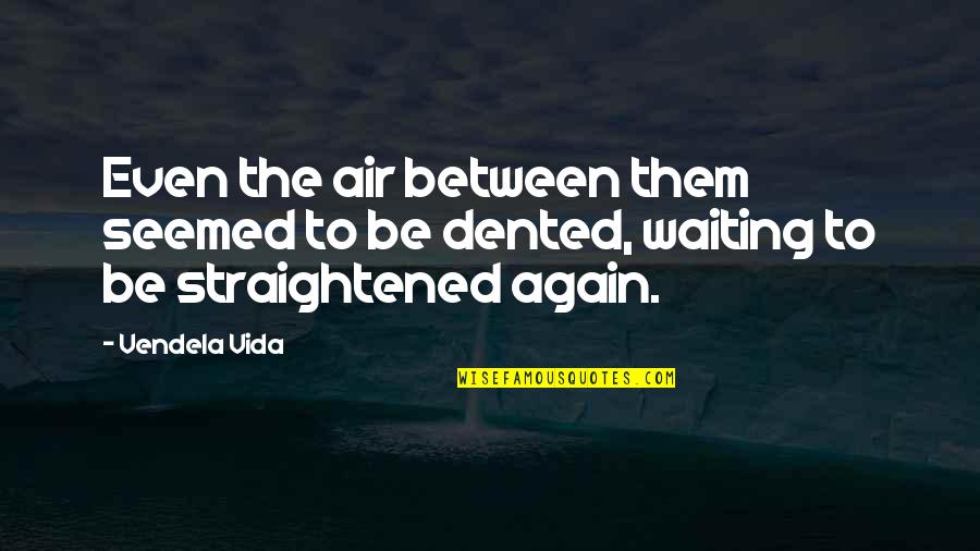 Straightened Out Quotes By Vendela Vida: Even the air between them seemed to be