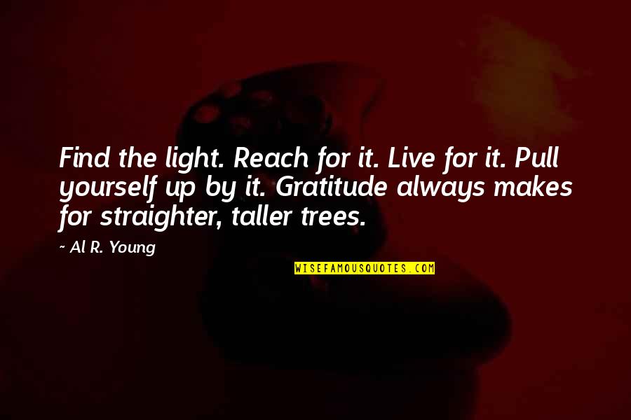 Straighter Quotes By Al R. Young: Find the light. Reach for it. Live for Straighter Quotes By Al R. Young: Find the light. Reach for it. Live for