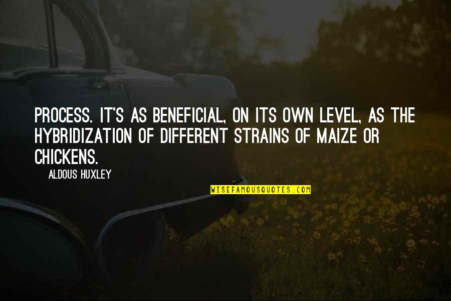 Strains Quotes By Aldous Huxley: Process. It's as beneficial, on its own level, Strains Quotes By Aldous Huxley: Process. It's as beneficial, on its own level,