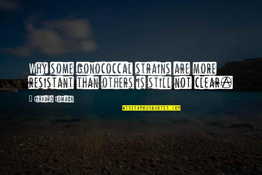 Strains Quotes By Gerhard Domagk: Why some gonococcal strains are more resistant than