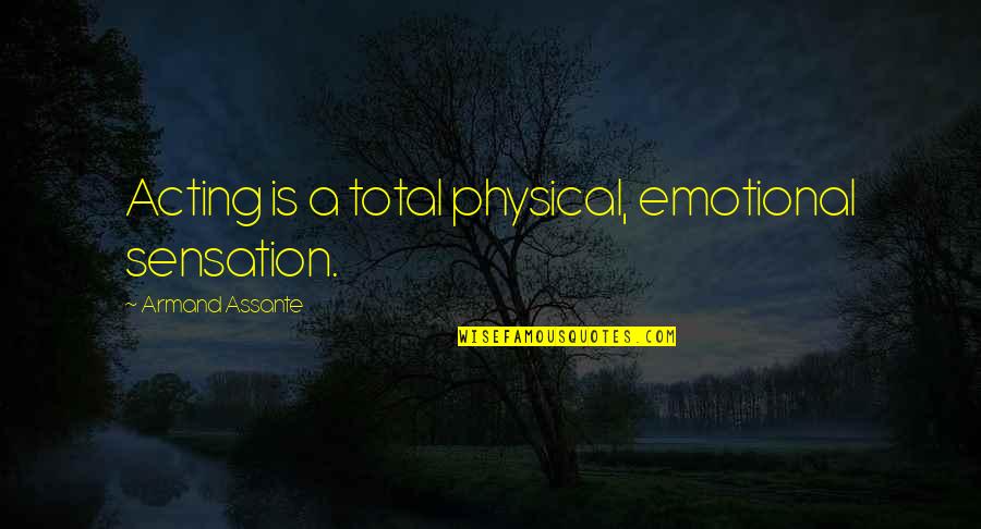 Strakowski Md Quotes By Armand Assante: Acting is a total physical, emotional sensation.