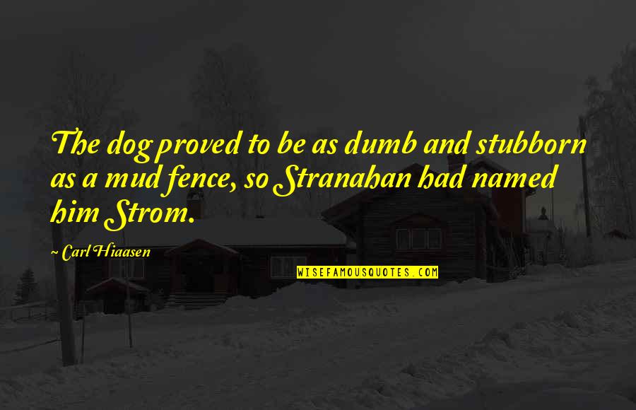 Stranahan Quotes By Carl Hiaasen: The dog proved to be as dumb and