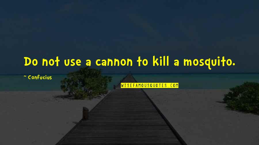 Stranamam Quotes By Confucius: Do not use a cannon to kill a Stranamam Quotes By Confucius: Do not use a cannon to kill a