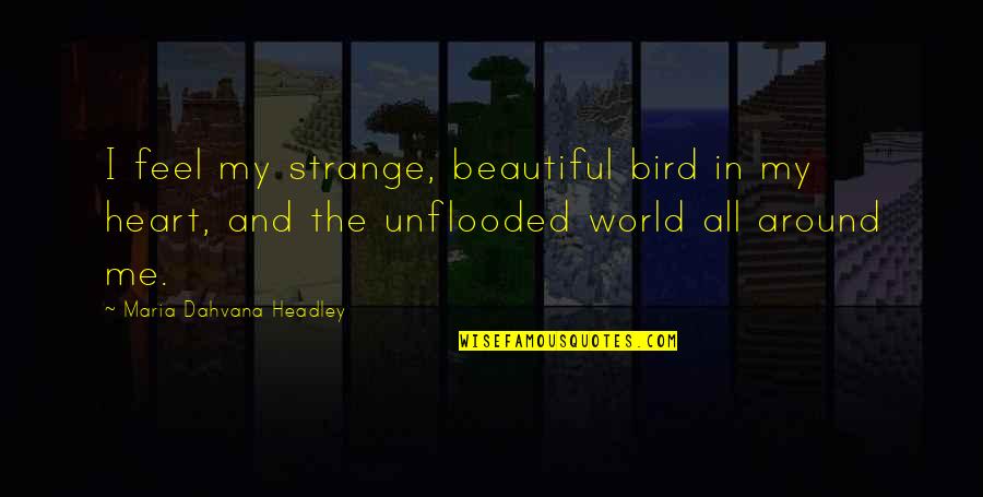 Strange World Quotes By Maria Dahvana Headley: I feel my strange, beautiful bird in my Strange World Quotes By Maria Dahvana Headley: I feel my strange, beautiful bird in my