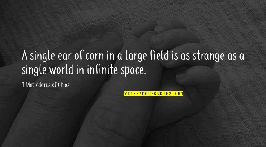 Strange World Quotes By Metrodorus Of Chios: A single ear of corn in a large