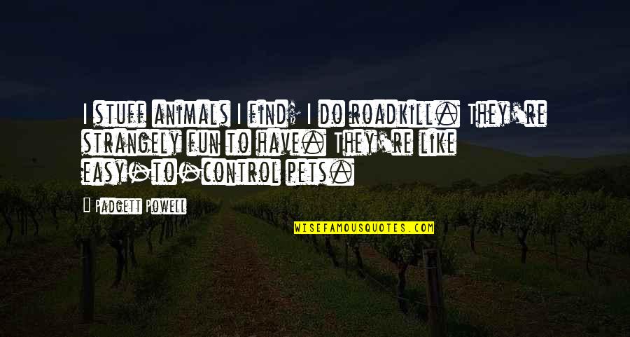 Strangely Quotes By Padgett Powell: I stuff animals I find; I do roadkill. Strangely Quotes By Padgett Powell: I stuff animals I find; I do roadkill.