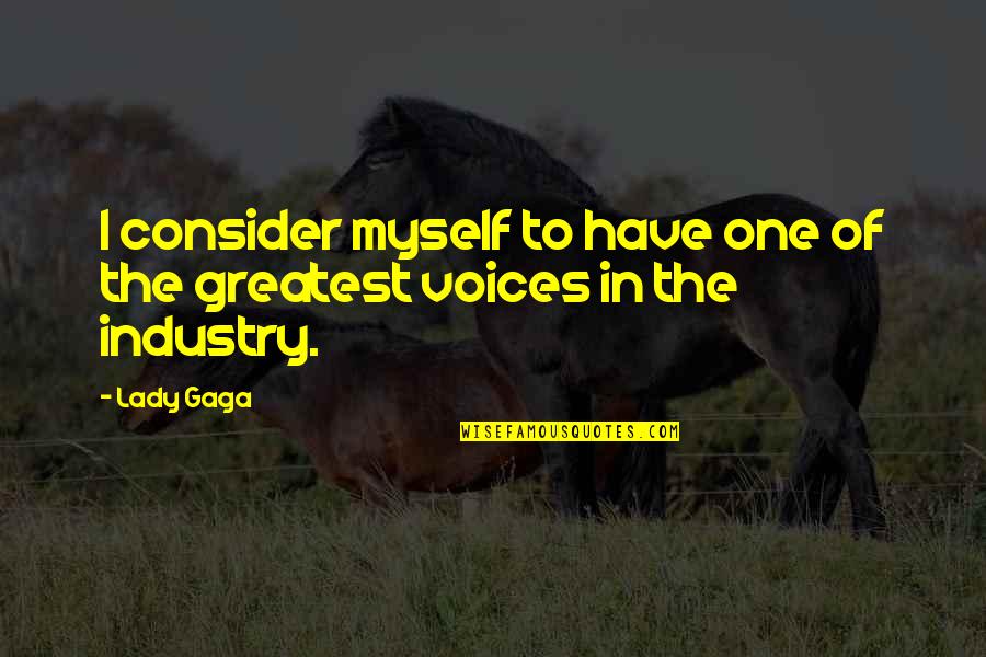 Stranglethorn Quotes By Lady Gaga: I consider myself to have one of the