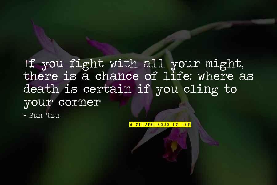 Strategy For Life Quotes By Sun Tzu: If you fight with all your might, there