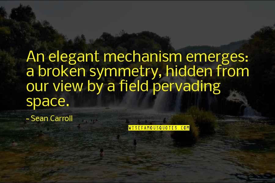 Stratevest Quotes By Sean Carroll: An elegant mechanism emerges: a broken symmetry, hidden