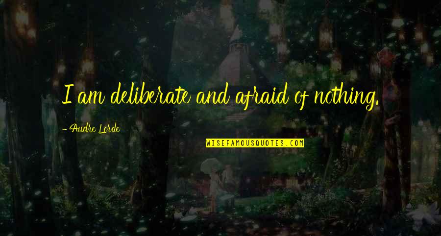 Strattner Financial Group Quotes By Audre Lorde: I am deliberate and afraid of nothing.