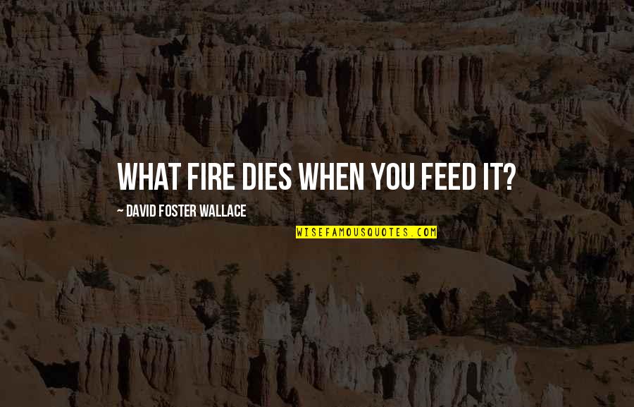 Stratum Corneum Quotes By David Foster Wallace: What fire dies when you feed it? Stratum Corneum Quotes By David Foster Wallace: What fire dies when you feed it?