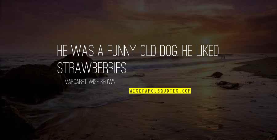 Strawberries Best Quotes By Margaret Wise Brown: He was a funny old dog. He liked Strawberries Best Quotes By Margaret Wise Brown: He was a funny old dog. He liked