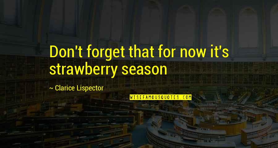 Strawberry Season Quotes By Clarice Lispector: Don't forget that for now it's strawberry season Strawberry Season Quotes By Clarice Lispector: Don't forget that for now it's strawberry season