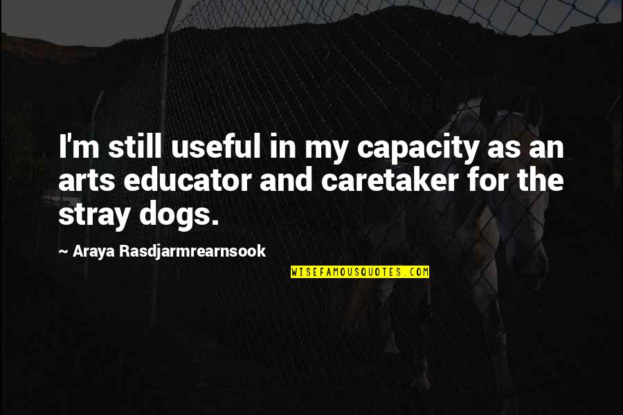Stray Dog Quotes By Araya Rasdjarmrearnsook: I'm still useful in my capacity as an