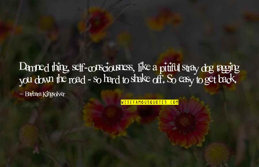 Stray Quotes By Barbara Kingsolver: Damned thing, self-consciousness, like a pitiful stray dog