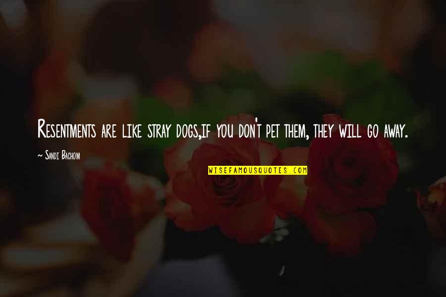 Stray Quotes By Sandi Bachom: Resentments are like stray dogs,if you don't pet