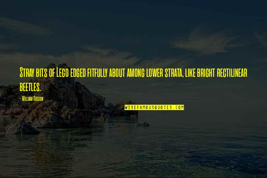 Stray Quotes By William Gibson: Stray bits of Lego edged fitfully about among