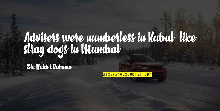 Stray Quotes By Zia Haider Rahman: Advisers were numberless in Kabul, like stray dogs