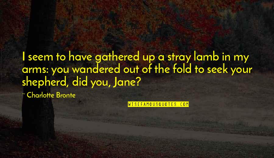 Stray'd Quotes By Charlotte Bronte: I seem to have gathered up a stray