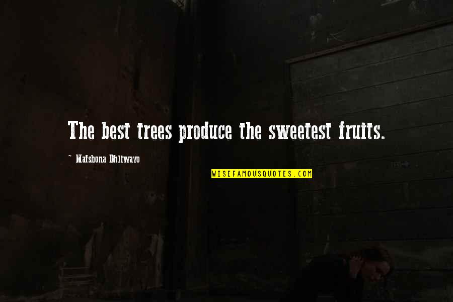 Strayings Quotes By Matshona Dhliwayo: The best trees produce the sweetest fruits.