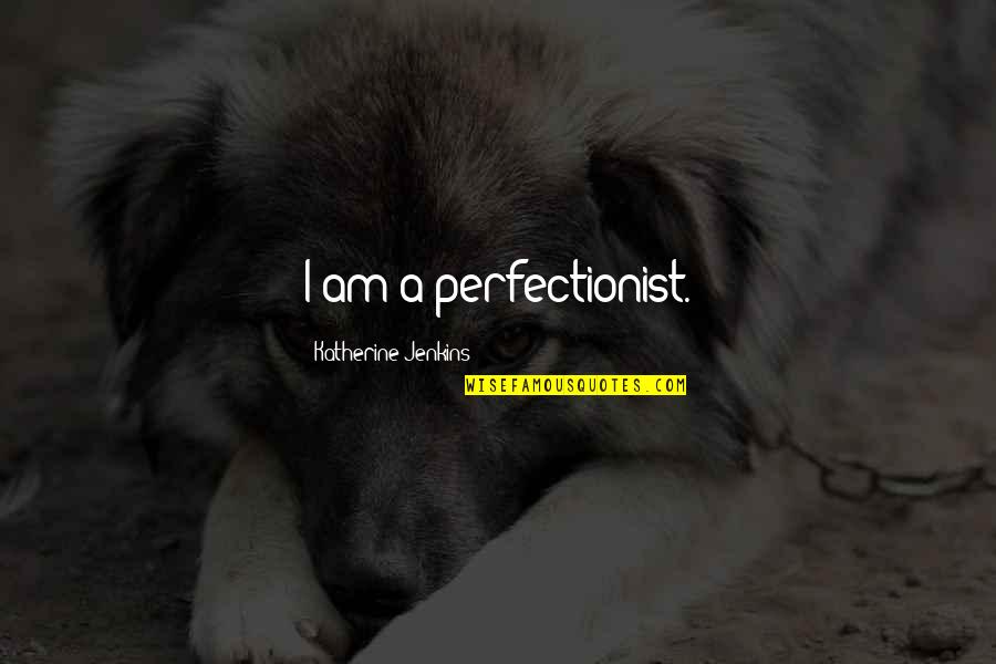 Streaker At Super Quotes By Katherine Jenkins: I am a perfectionist. Streaker At Super Quotes By Katherine Jenkins: I am a perfectionist.