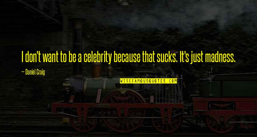 Stream Of Time Quotes By Daniel Craig: I don't want to be a celebrity because