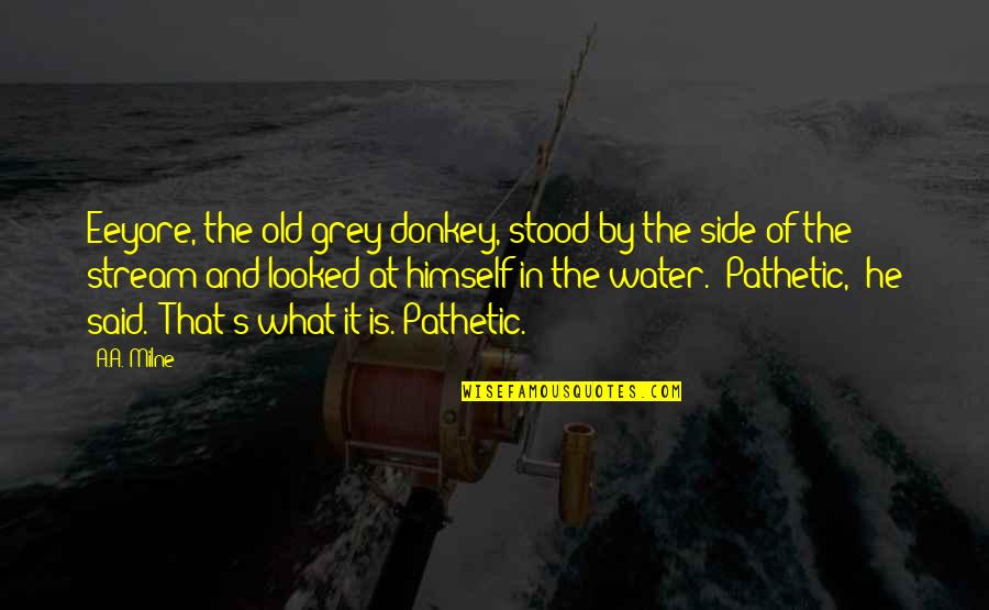 Stream Water Quotes By A.A. Milne: Eeyore, the old grey donkey, stood by the