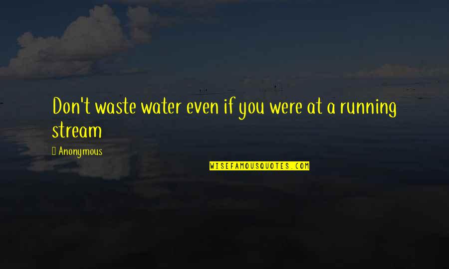 Stream Water Quotes By Anonymous: Don't waste water even if you were at