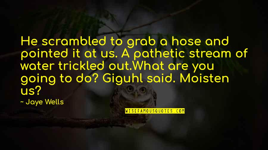 Stream Water Quotes By Jaye Wells: He scrambled to grab a hose and pointed