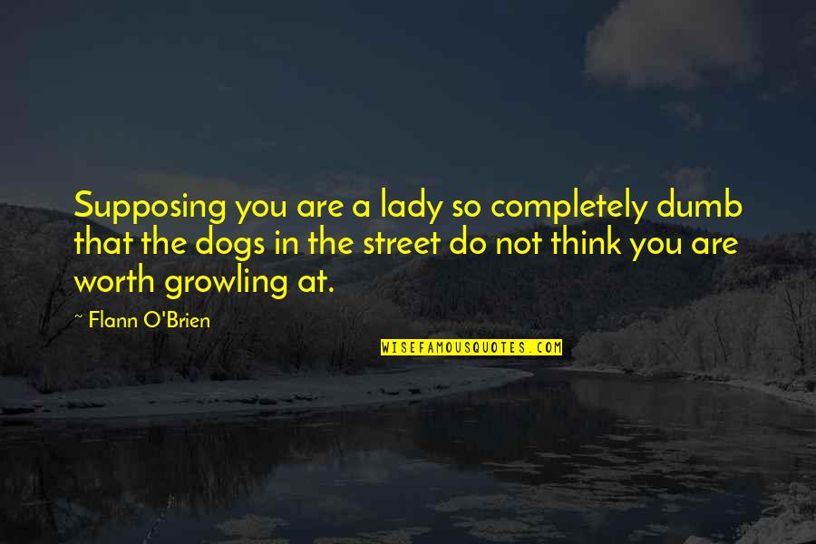 Street Dogs Quotes By Flann O'Brien: Supposing you are a lady so completely dumb