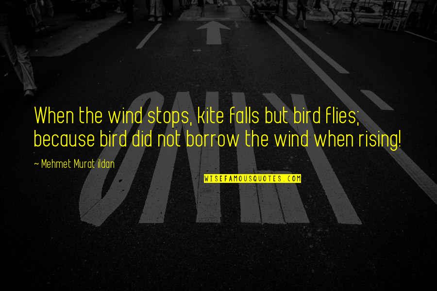 Street Fighter 4 Dudley Quotes By Mehmet Murat Ildan: When the wind stops, kite falls but bird
